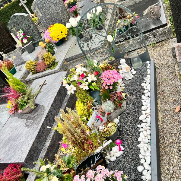 Di Lorenzo - Nos réalisations