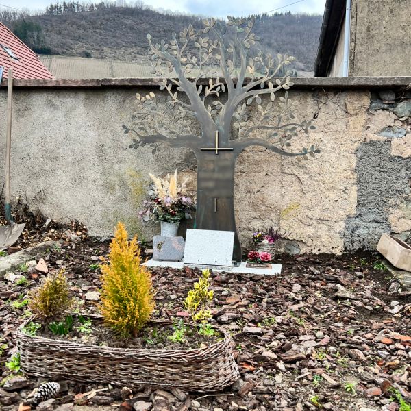 Di Lorenzo - Nos réalisations