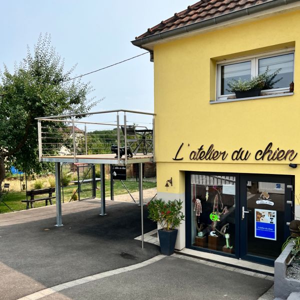 Di Lorenzo - Nos réalisations